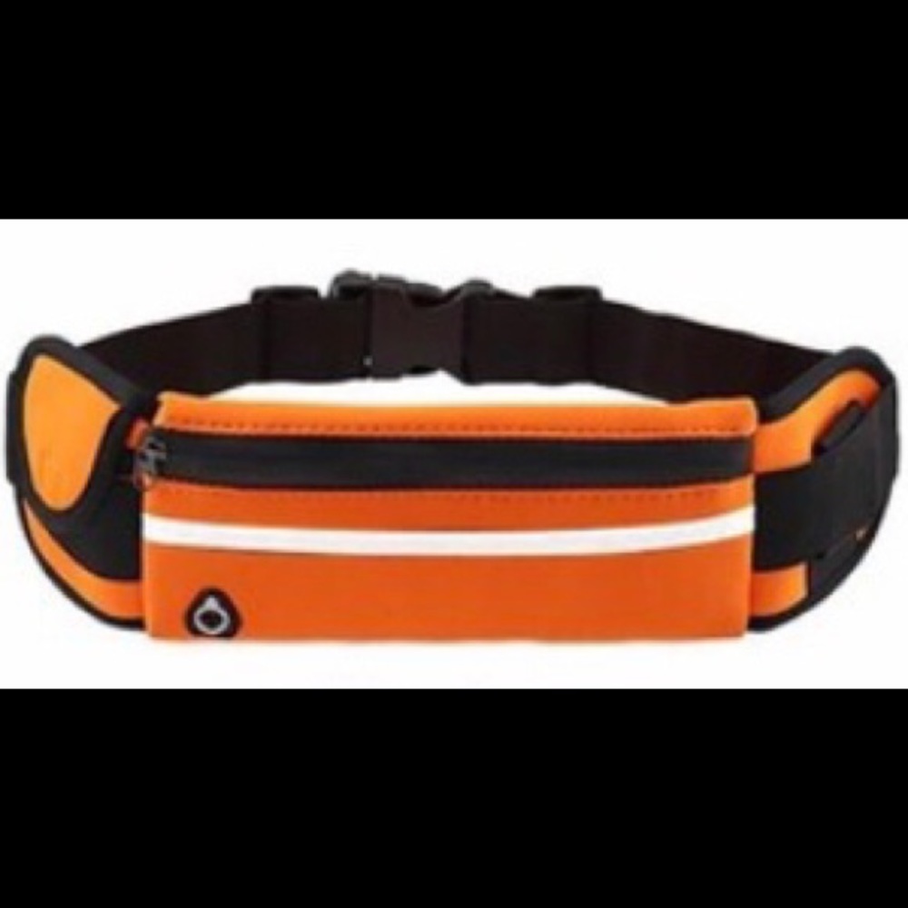 Multi Functional Mini Fanny